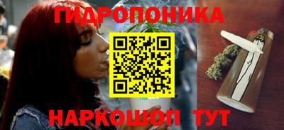 не бодяженный Гатчина