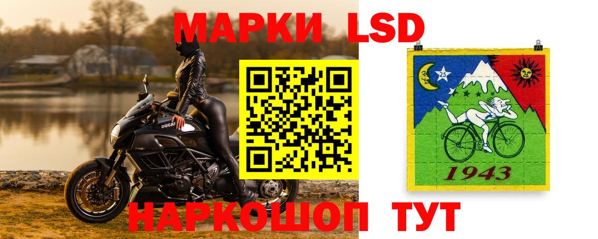 Новокубанск  Лсд 25 экстази ecstasy  Лсд 25 экстази ecstasy  Вход с VPN 