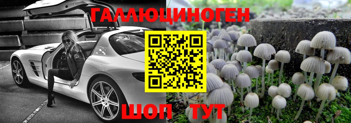 Галлюциногенные грибы Magic Shrooms Новокубанск