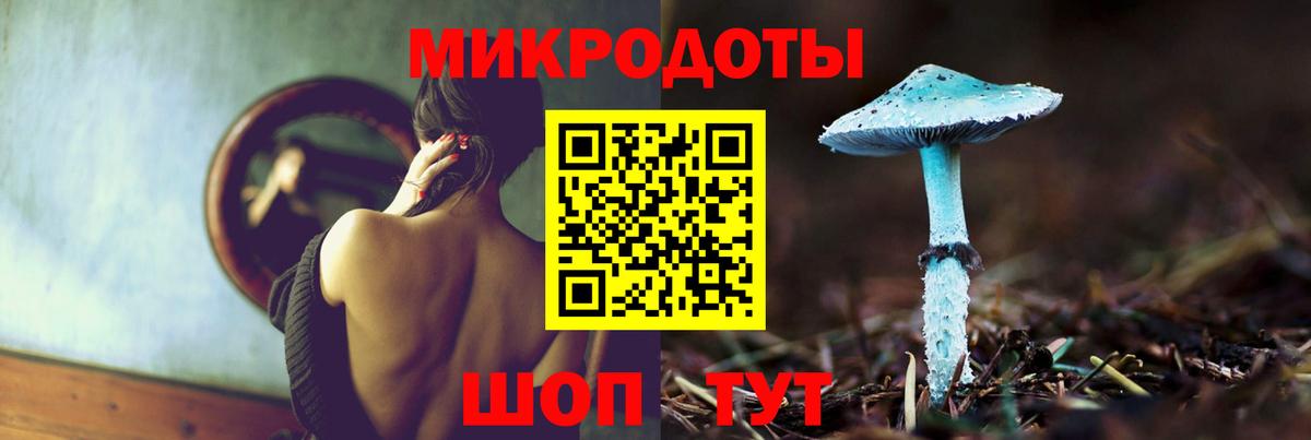 ГАШ Новокубанск